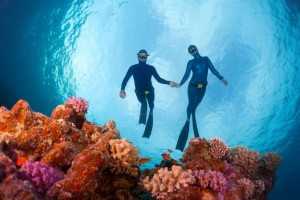 Free Diving in Auckland
