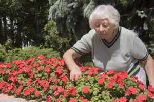 A retired woman tending to her flowers in a garden
