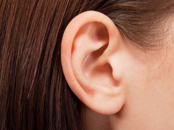 Closeup human ear