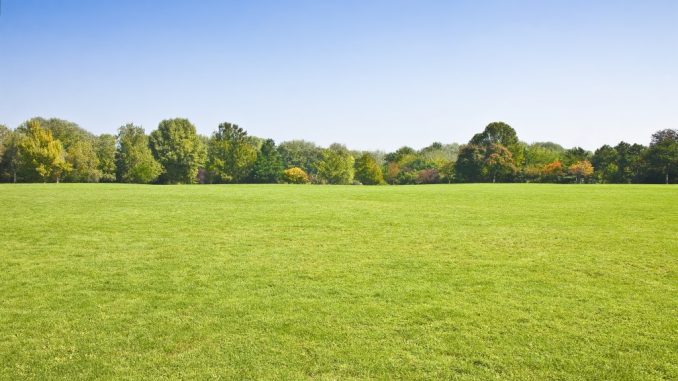 a spacious park a spacious park